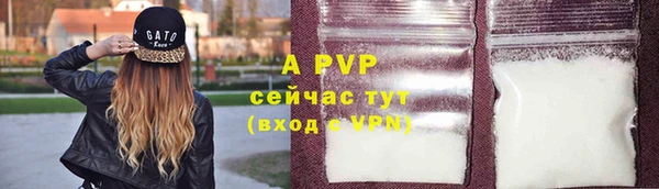 a pvp Баксан