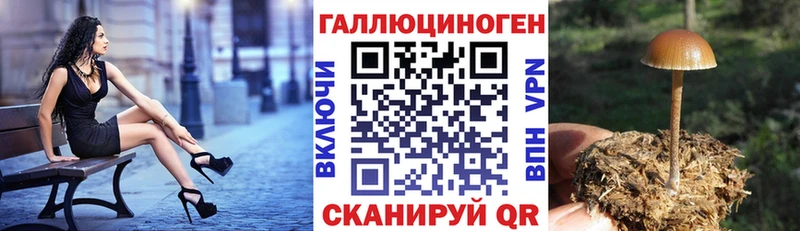 Галлюциногенные грибы Cubensis  купить наркотик  Красноуфимск 